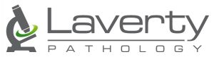 LAV_Logo-300×81