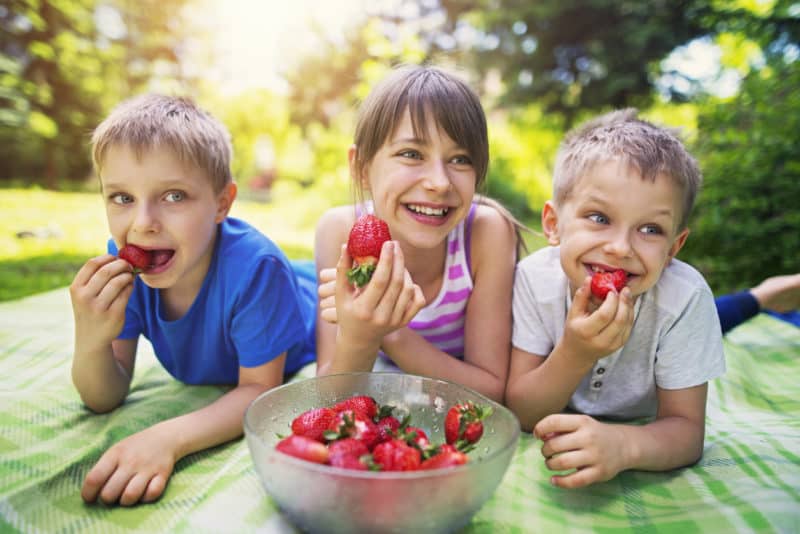 How to talk to your children about food The Healthy