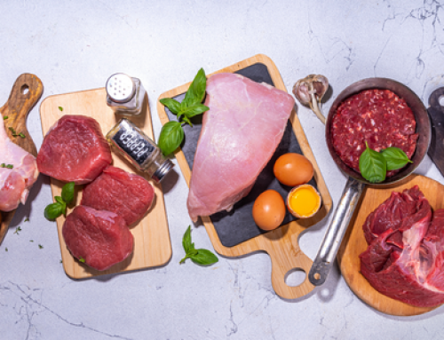 The Carnivore Diet – What’s it all about?