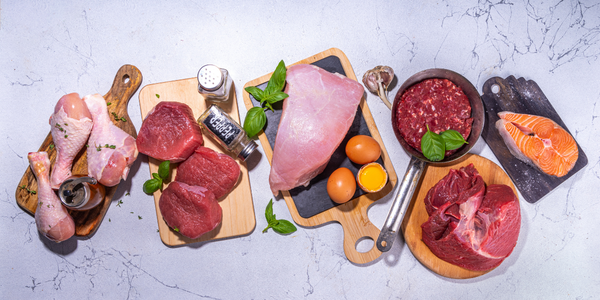 Carnivore diet